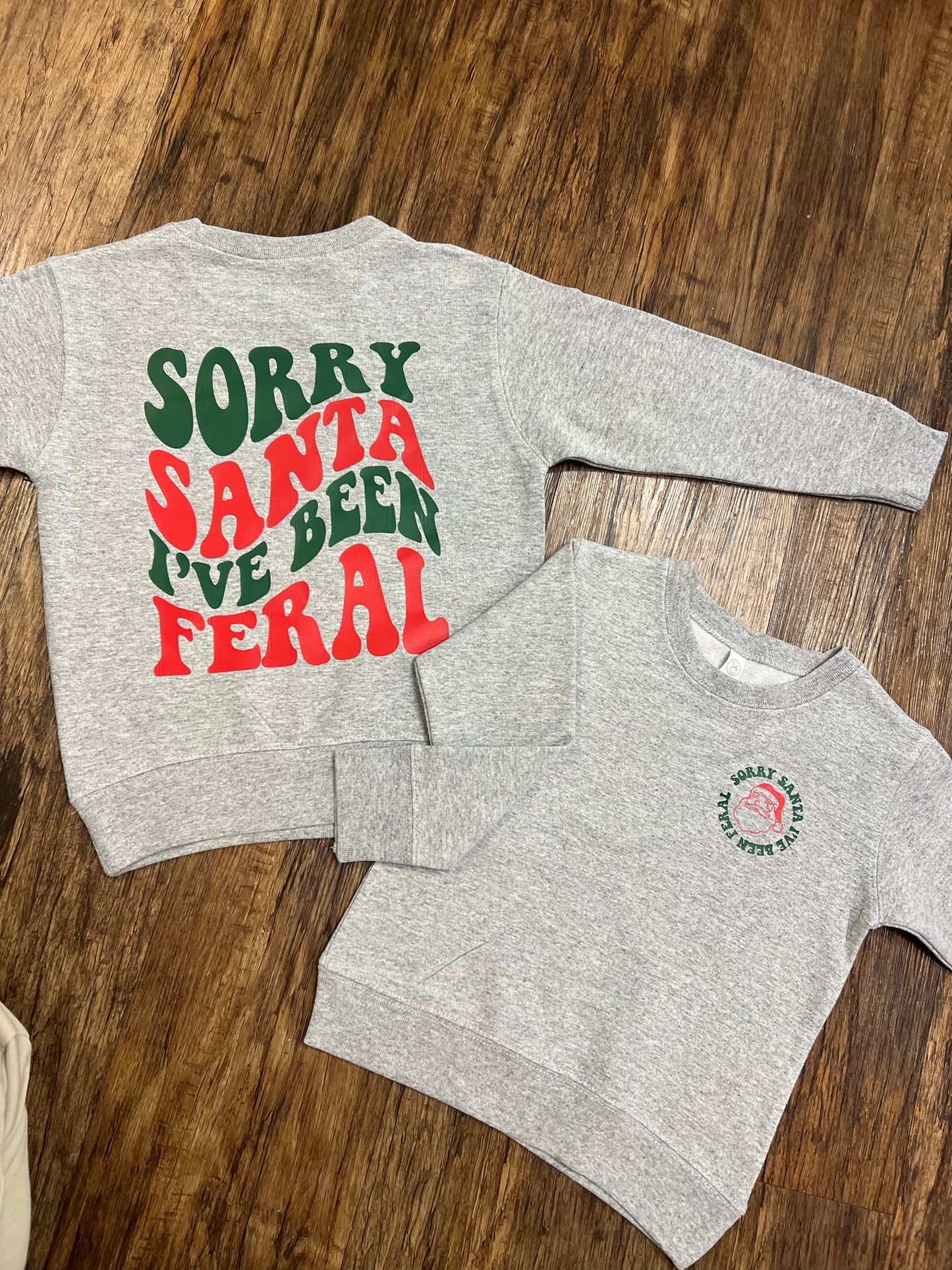 Sorry Santa